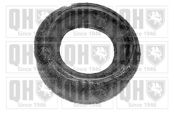 QUINTON HAZELL Top strut mount Article number: EMR6002 cheaply