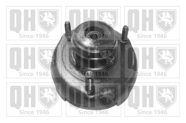QUINTON HAZELL Top strut mount Article number: EMR6065 cheaply