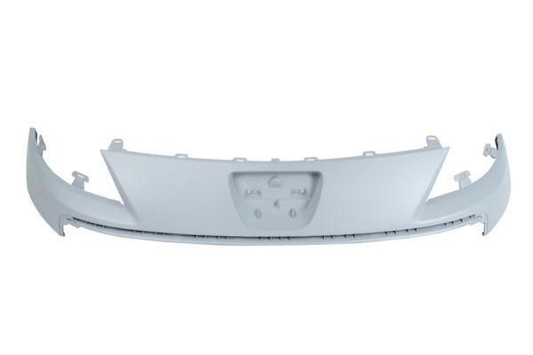 BLIC Radiator Grille Article number: 6502-07-5562990Q cheaply