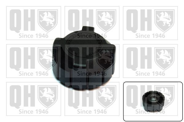 QUINTON HAZELL Expansion tank cap Article number: FC517 cheaply