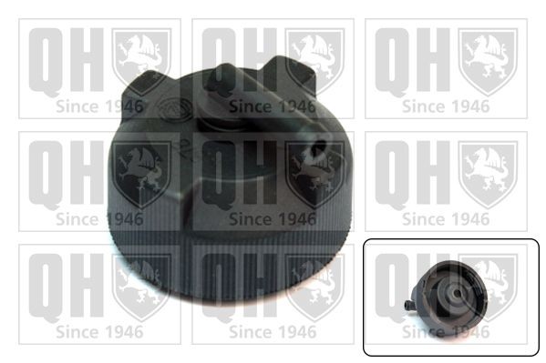 QUINTON HAZELL Expansion tank cap Article number: FC518 cheaply