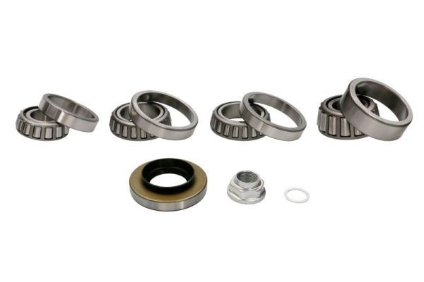 OEM Bearing, differential H35024 from KANACO