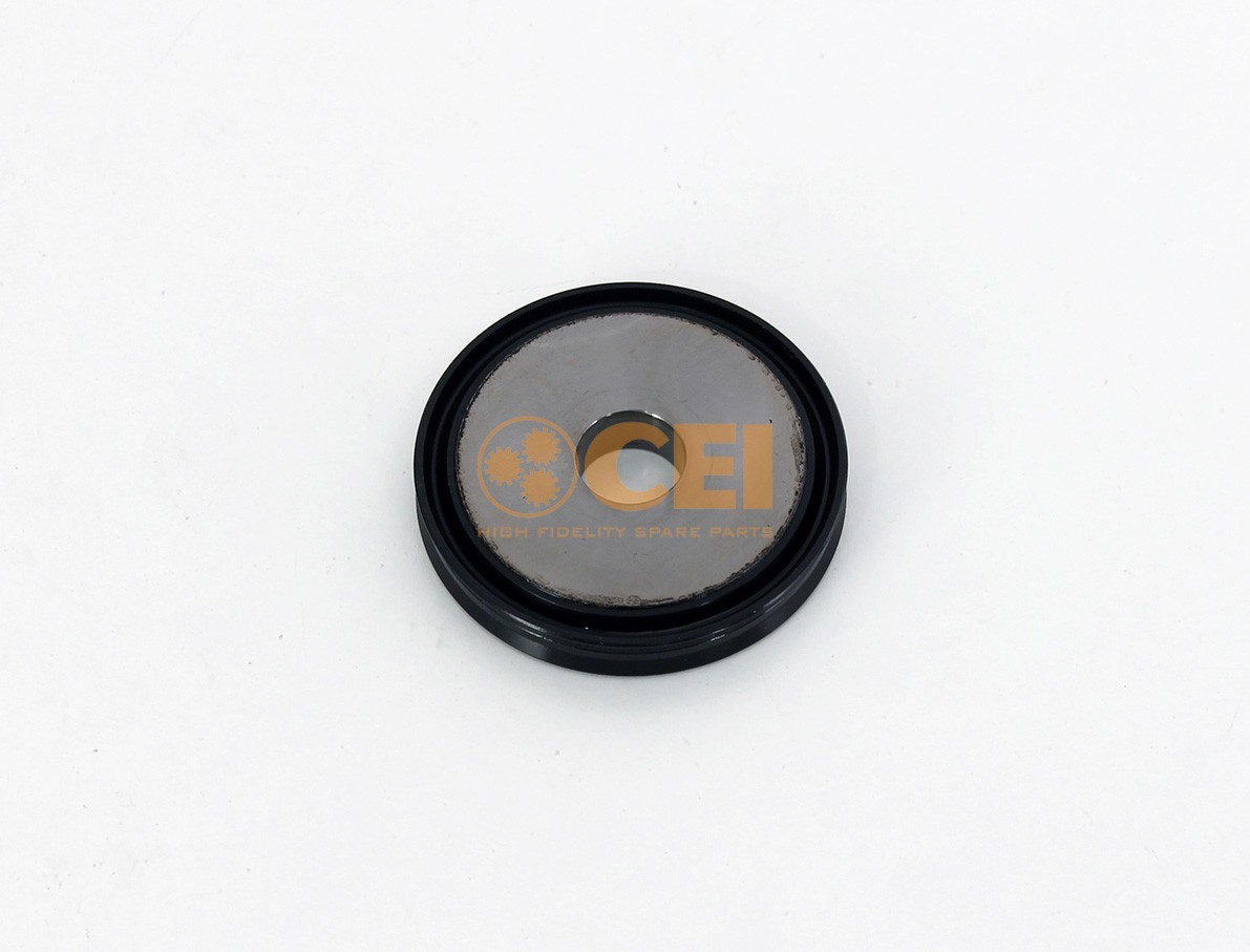 CEI Piston, shift cylinder Article number: 189.718 cheaply