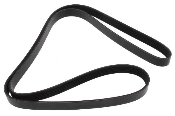 MAPCO Serpentine belt Article number: 261670 cheaply