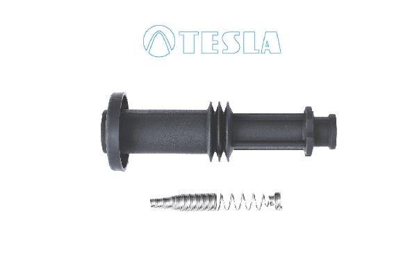TESLA CP078 Plug, spark plug VECTRA 2.2 DGi (F68) 155 PS Petrol 2009
