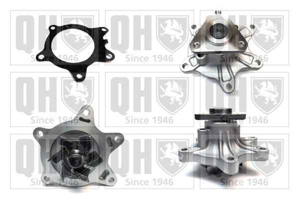 QUINTON HAZELL Vattenpump Artikelnummer: QCP3431 billigt