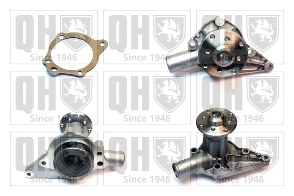 QUINTON HAZELL Water pump Article number: QCP556 cheaply