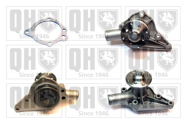 QUINTON HAZELL Water pump Article number: QCP738 cheaply