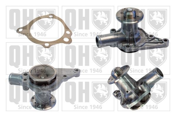 QUINTON HAZELL Water pump Article number: QCP974 cheaply
