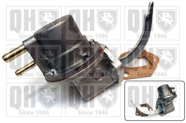 QUINTON HAZELL Fuel pump Article number: QFP19 cheaply