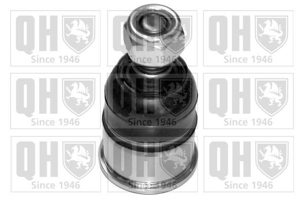 QUINTON HAZELL Ball Joint Article number: QSJ1793S cheaply