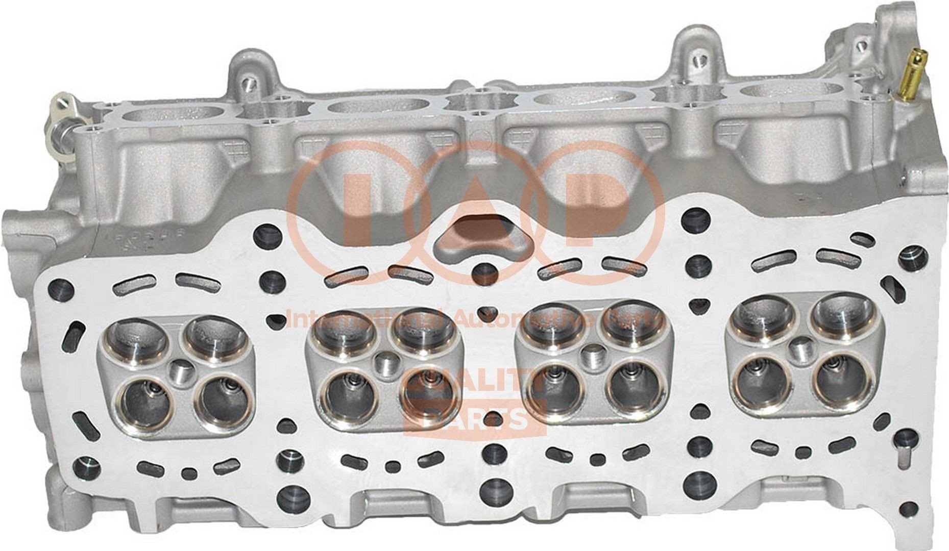 IAP QUALITY PARTS Cylinder Head Article number: 120-16100 cheaply