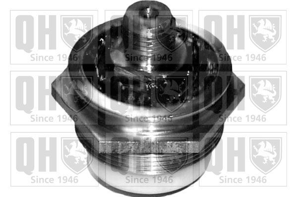 QUINTON HAZELL Ball Joint Article number: QSJ876S cheaply
