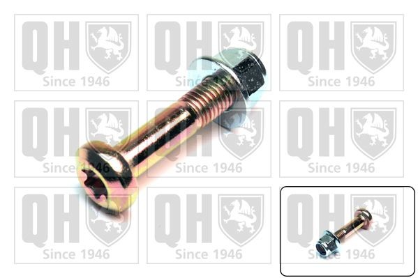 QUINTON HAZELL Clamping Screw, ball joint Article number: QSK225S cheaply