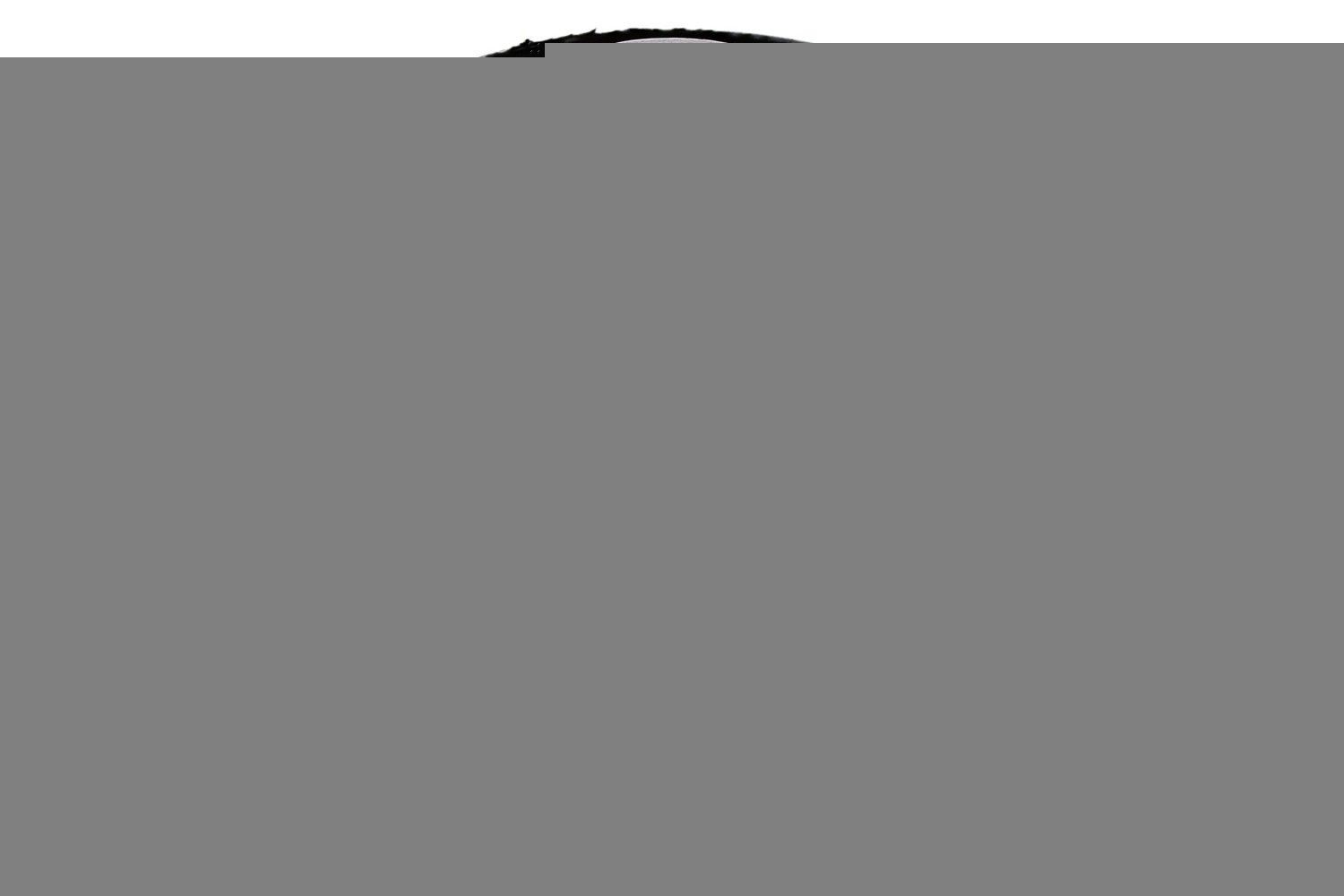 SPIDAN CHASSIS PARTS 411174 Bush, leaf spring TRANSIT 2.5 TD (EAS) 75 PS Diesel 2000