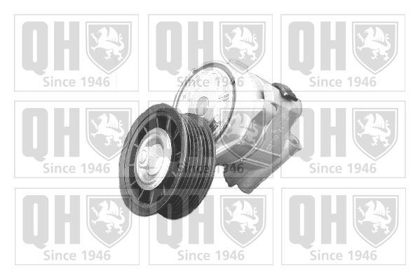 QUINTON HAZELL Tensioner Lever, v-ribbed belt Article number: QTA1130 cheaply