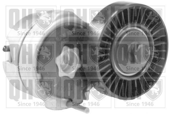 QUINTON HAZELL Tensioner Lever, v-ribbed belt Article number: QTA1374 cheaply
