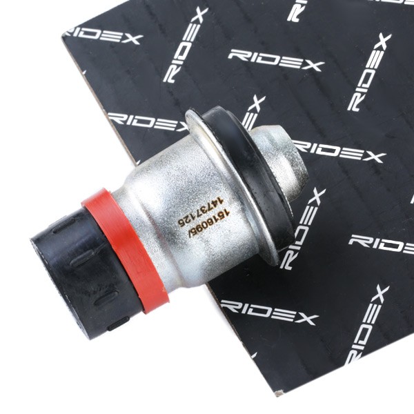 RIDEX Axle bush Article number: 1080M0010 cheaply