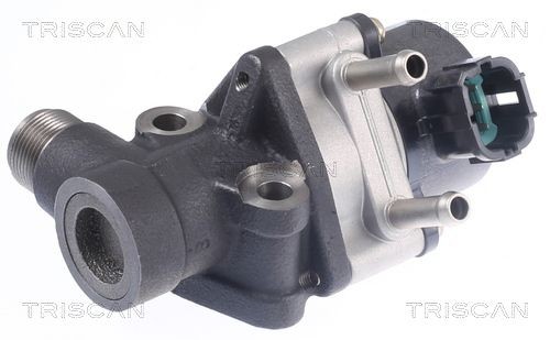 TRISCAN EGR-ventil Varenummer: 8813 14026 billige