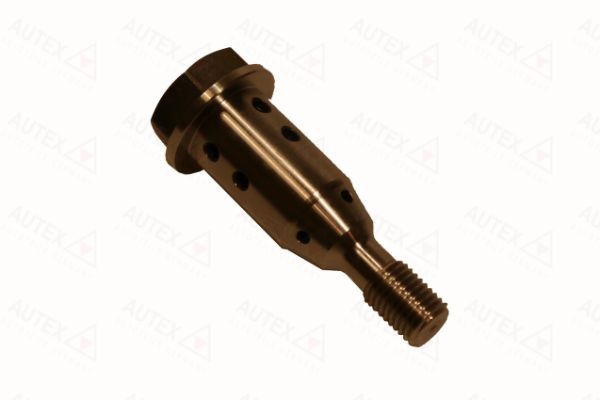 AUTEX Central Valve, camshaft adjustment Article number: 716098 cheaply