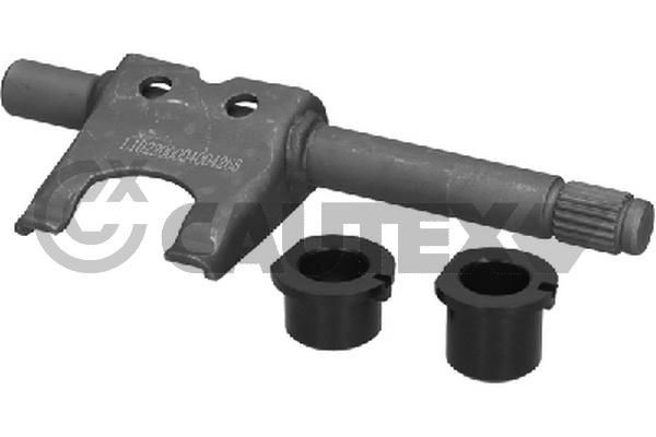 CAUTEX 011198 Release Fork, clutch YPSILON 1.4 16V (843.AXC11, 843.AXC1B, 843.AXC1A) 95 PS Petrol 2011