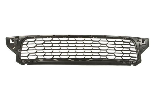 BLIC Bumper grill Article number: 6502-07-1305910P cheaply