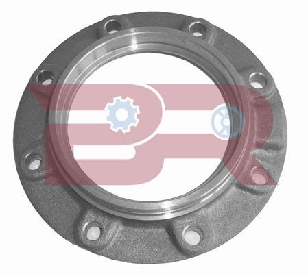BOTTO RICAMBI Pinol-hjul, differential Varenummer: BRD9751 billige