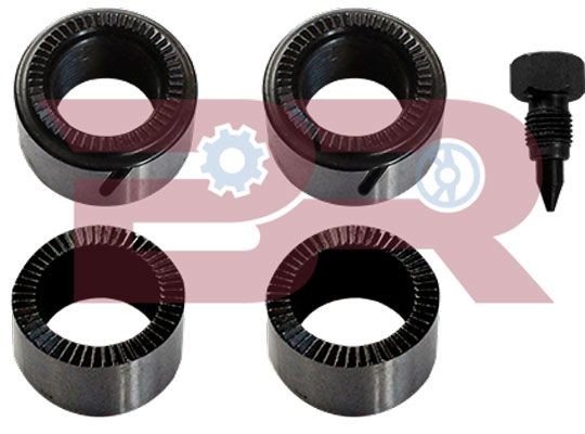 BOTTO RICAMBI Repair Kit, automatic adjustment Article number: BRFR1268 cheaply