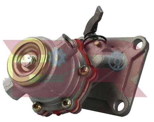 BOTTO RICAMBI Fuel pump Article number: BRM0098 cheaply