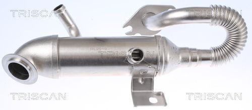 TRISCAN 8813 16105 EGR-jahuti FOCUS 1.8 Turbo DI / TDDi 90 HP Diisel 2007