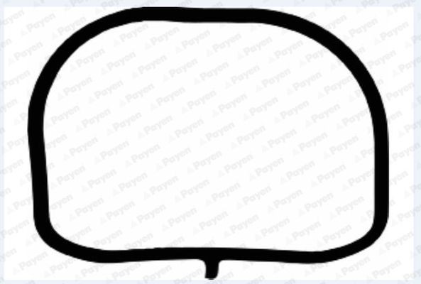 PAYEN Inlet manifold gasket Article number: JD6117 cheaply