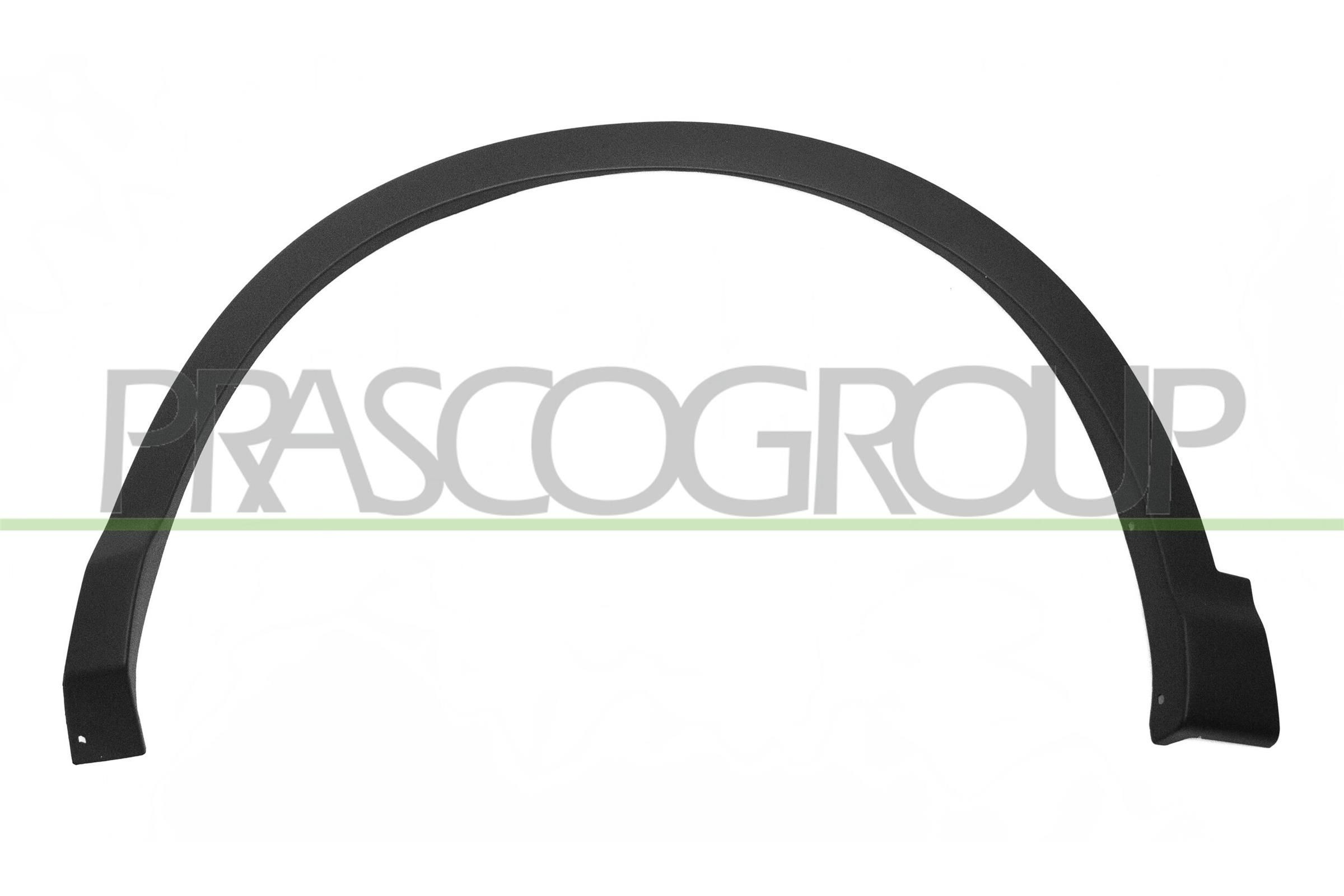 PRASCO Trim / Protective Strip, mudguard Article number: DS7121592 cheaply