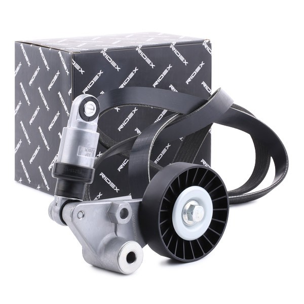 RIDEX V-Ribbed Belt Set Article number: 542R0283 cheaply