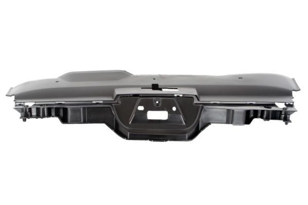 BLIC Radiator Grille Article number: 6502-07-5537990Q cheaply