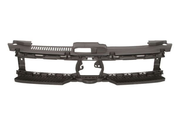 BLIC Radiator Grille Article number: 6502-07-9508995P cheaply