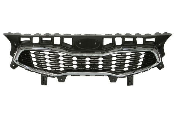 BLIC Radiator Grille Article number: 6502-07-3268990P cheaply