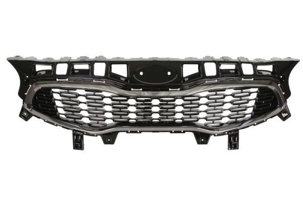 BLIC Radiator Grille Article number: 6502-07-3268991P cheaply