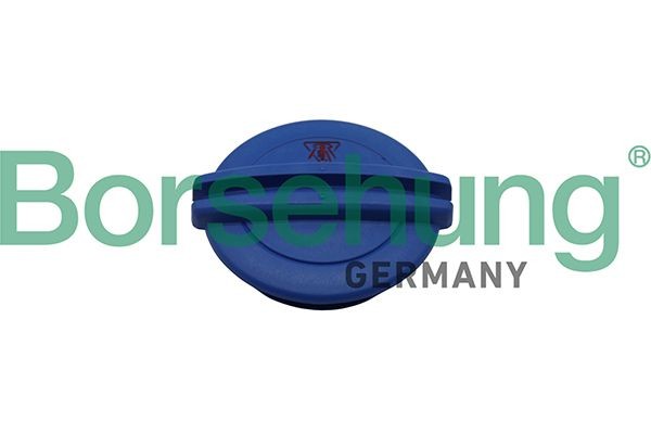Borsehung Expansion tank cap Article number: B19281 cheaply