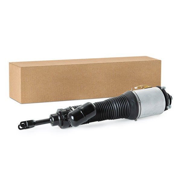 RIDEX Luftfjederben Varenummer: 4118A0038 billige