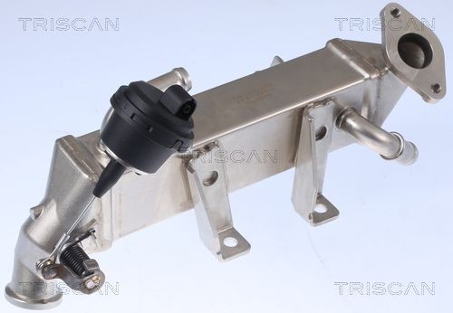 TRISCAN 8813 25104 EGR-jahuti LATITUDE 2.0 dCi 130 131 HP Diisel