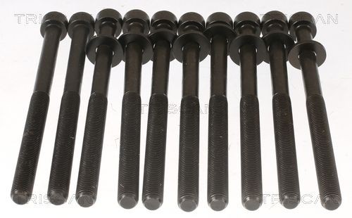 TRISCAN Bolt Kit, cylinder head Article number: 98-1017 cheaply