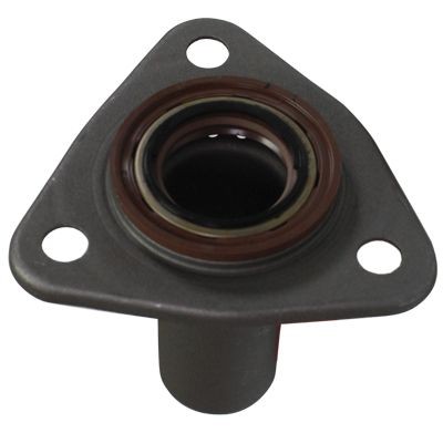 BIRTH 40537 Guide Tube, clutch DUCATO 2.8 JTD 4x4 128 PS Diesel 2002