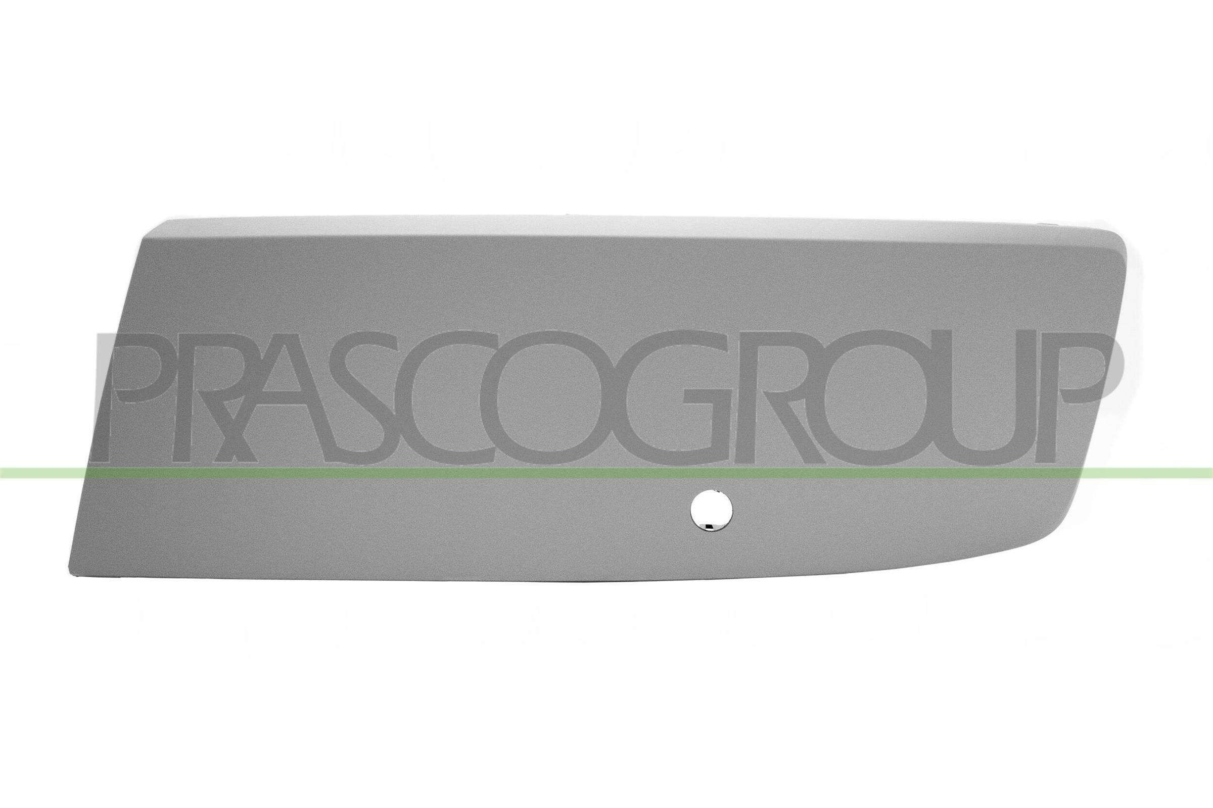 PRASCO VG9191250 Bumper moulding TRANSPORTER 2.0 TSI 150 PS Petrol 2015