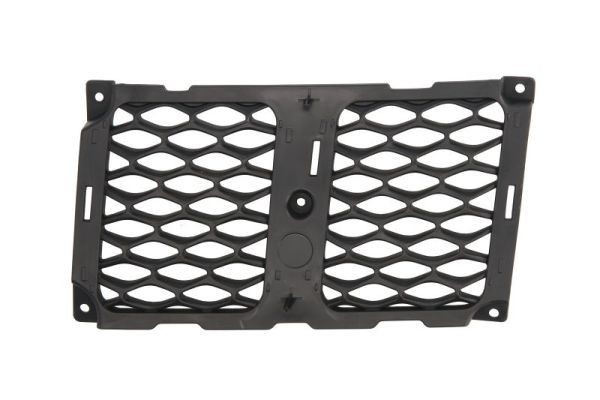 BLIC Radiator Grille Article number: 6502-07-3207993P cheaply