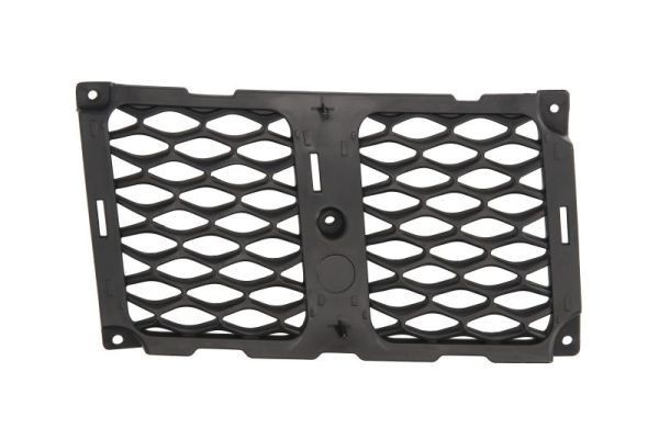 BLIC Radiator Grille Article number: 6502-07-3207994P cheaply