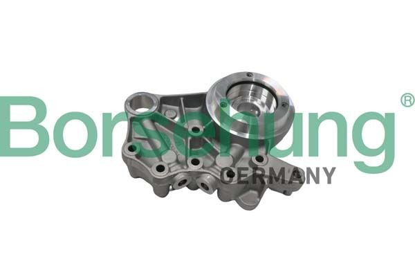 Borsehung B19307 Laagripukk, nukkvõll PASSAT 1.8 TSI 152 HP Bensiin 2014