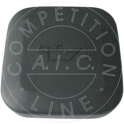 AIC 53095 Lukk, õlitäite ühendustoru 75 2.0 V6 150 HP Bensiin 2006
