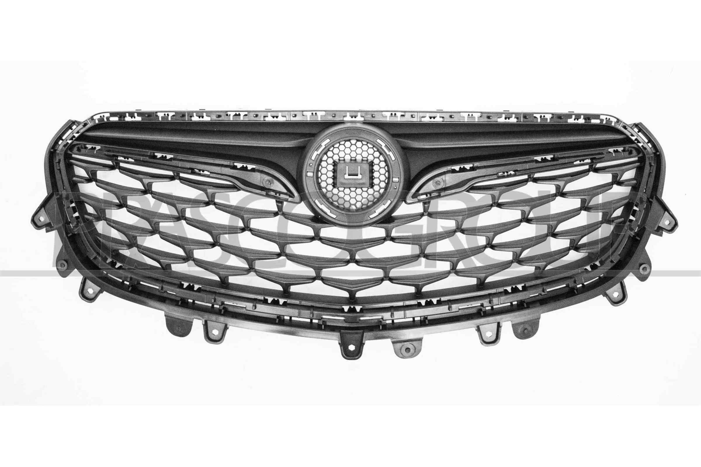 PRASCO Radiator Grille Article number: OP7022001 cheaply