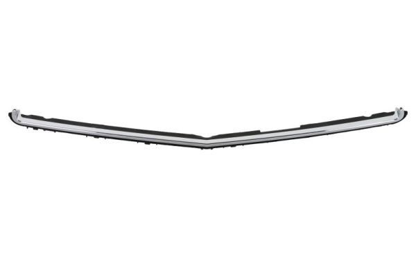 BLIC Trim / Protective Strip, radiator grille Article number: 6502-07-3529990P cheaply