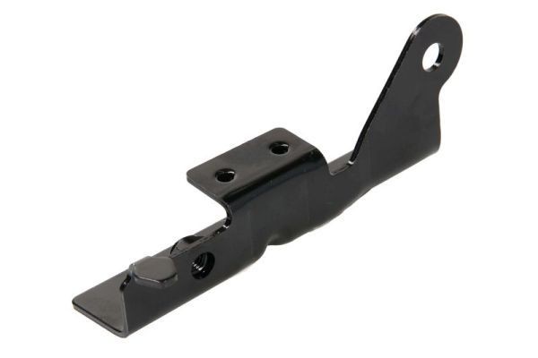 BLIC Hinge, bonnet Article number: 6802-00-3206454P cheaply